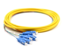 3m, 6 Fiber SC Pigtail, Single-mode, OS2