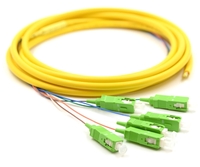 3m, 6 Fiber SCAPC Pigtail, Single-mode, OS2