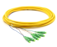 3m, 6 Fiber LC/APC Pigtail, Single-mode, OS2